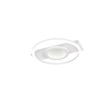 Wheeler Plafonnier Luminaires Reality LED Blanc, 1 lumière