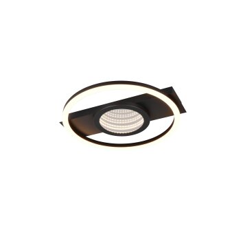 Wheeler Plafonnier Luminaires Reality LED Noir, 1 lumière
