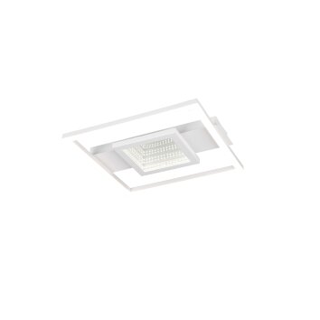 Wheeler Plafonnier Luminaires Reality LED Blanc, 1 lumière
