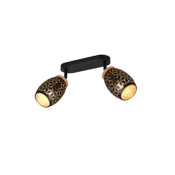 Bidar Spot de plafond Luminaires Reality Noir doré, 2 lumières