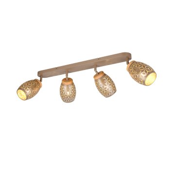 Bidar Spot de plafond Luminaires Reality Brun, 4 lumières