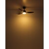 Modesto Ventilateur de plafond lumineux Luminaires Globo Lighting LED Gris, 1 lumière, Télécommandes