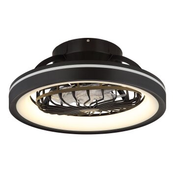 Deanne Ventilateur de plafond lumineux Luminaires Globo Lighting LED Noir, 1 lumière, Télécommandes, Changeur de couleurs