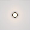 Lasse Plafonnier Luminaires Globo Lighting LED Noir, 1 lumière