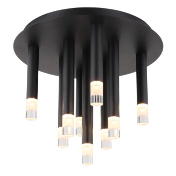 Ryan Plafonnier Luminaires Globo Lighting Noir, 9 lumières