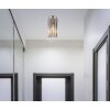 Cayden Plafonnier Luminaires Globo Lighting Nickel mat, 1 lumière