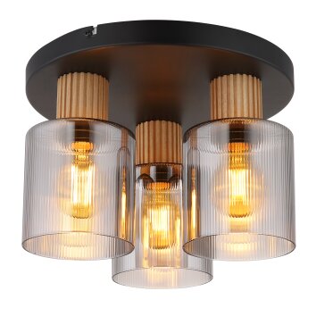 Aleidis Plafonnier Luminaires Globo Lighting Brun foncé, Noir, 3 lumières