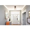 Aleidis Plafonnier Luminaires Globo Lighting Brun foncé, Noir, 1 lumière