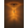 Aleidis Suspension Luminaires Globo Lighting Brun foncé, Noir, 1 lumière