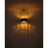 Coletta Suspension Luminaires Globo Lighting Or, Noir, 1 lumière