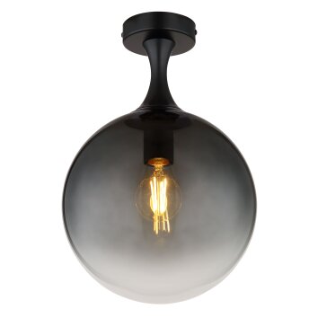 Dalton Plafonnier Luminaires Globo Lighting Noir, 1 lumière