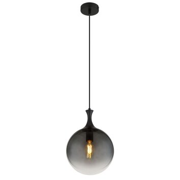 Dalton Suspension Luminaires Globo Lighting Noir, 1 lumière