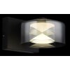 Belinda Applique murale Luminaires Globo Lighting LED Noir, 1 lumière