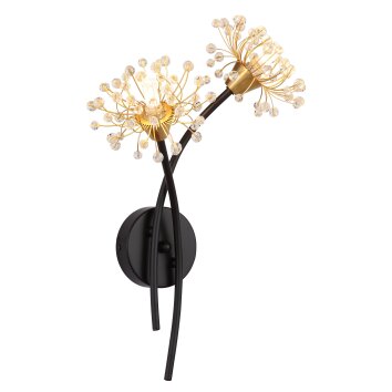 Fiore Applique murale Luminaires Globo Lighting Noir, 2 lumières