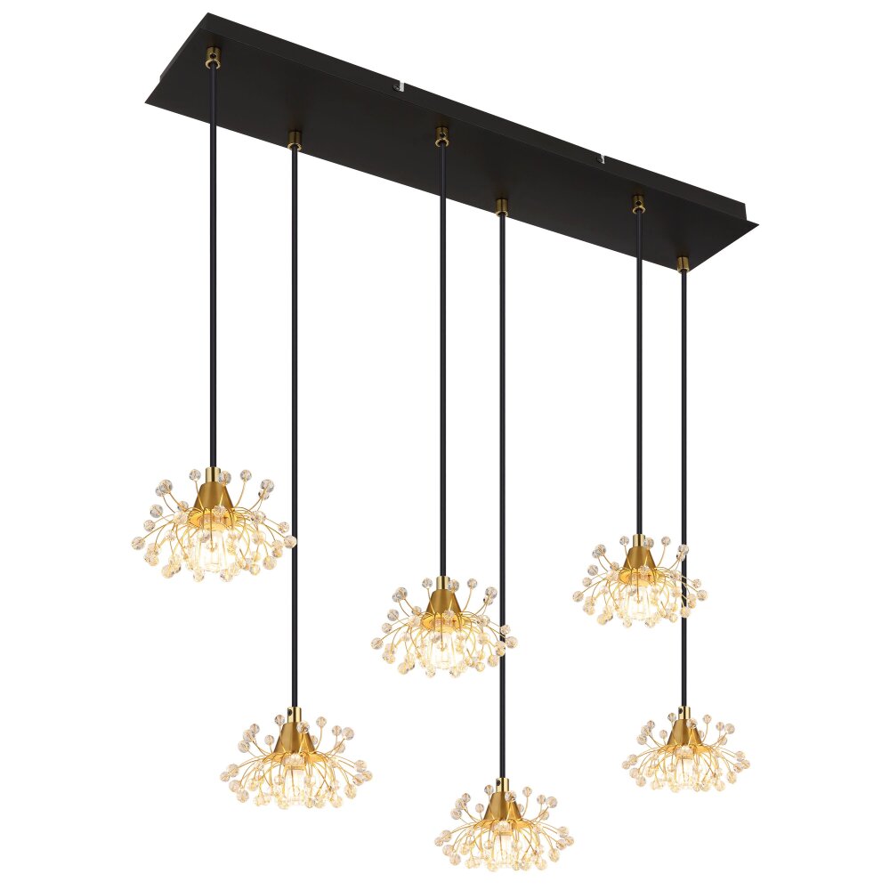 Fiore Suspension Luminaires Globo Lighting Noir, 6 lumières main product photo
