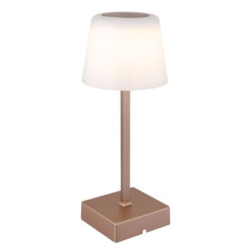 Xayden Lampe à poser Luminaires Globo Lighting LED Champagne, Champagne, 1 lumière