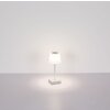 Xayden Lampe à poser Luminaires Globo Lighting LED Argenté, 1 lumière
