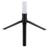 Rocky Lampadaire Luminaires Globo Lighting LED Noir, 1 lumière, Télécommandes, Changeur de couleurs