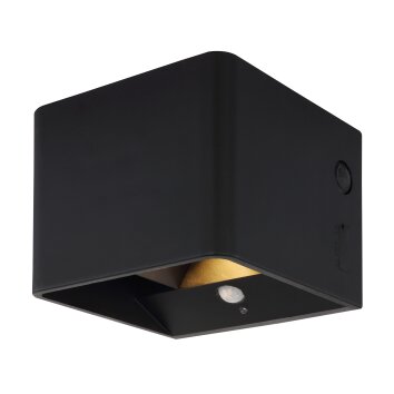 Veronika Applique murale Luminaires Globo Lighting LED Noir, 1 lumière, Détecteur de mouvement