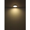 Nielsen Plafonnier Luminaires Globo Lighting LED Blanc, 1 lumière