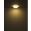 Lazaro Plafonnier Luminaires Globo Lighting LED Blanc, 1 lumière