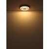 Jayden Plafonnier Luminaires Globo Lighting LED Anthracite, 1 lumière