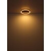 Luffy Plafonnier Luminaires Globo Lighting LED Or, Noir, 1 lumière