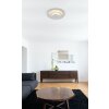 Heda Plafonnier Luminaires Globo Lighting LED Argenté, 1 lumière