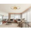 Lorelei Plafonnier Luminaires Globo Lighting LED Champagne, 1 lumière