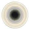 Alsuna Plafonnier Luminaires Globo Lighting LED Blanc, 1 lumière, Télécommandes