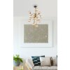 Riha Plafonnier Luminaires Globo Lighting Or, Laiton, 12 lumières