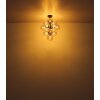 Conor Suspension Luminaires Globo Lighting Noir, 13 lumières