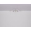 Korben Plafonnier, Spot de plafond Luminaires Globo Lighting Blanc, 2 lumières