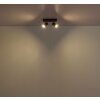Kayden Plafonnier Luminaires Globo Lighting Brun foncé, Noir, 2 lumières
