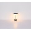 Tomo Lampe à poser Luminaires Globo Lighting LED Brun, 1 lumière