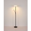 Stanford Plafonnier Luminaires Globo Lighting LED Nickel mat, 1 lumière