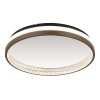 Della Plafonnier Luminaires Globo Lighting LED Noir, 1 lumière