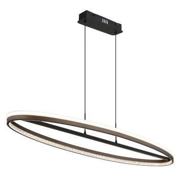 Della Suspension Luminaires Globo Lighting LED Noir, 1 lumière