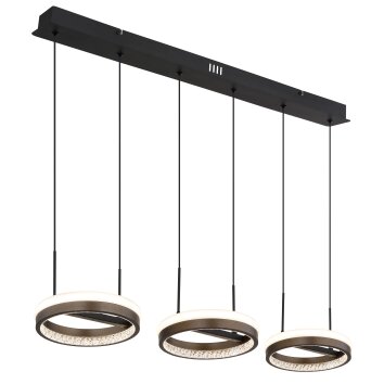 Della Suspension Luminaires Globo Lighting LED Noir, 1 lumière