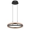 Della Suspension Luminaires Globo Lighting LED Noir, 1 lumière