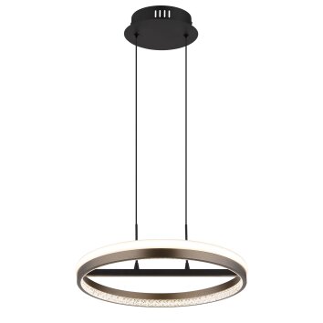 Della Suspension Luminaires Globo Lighting LED Noir, 1 lumière