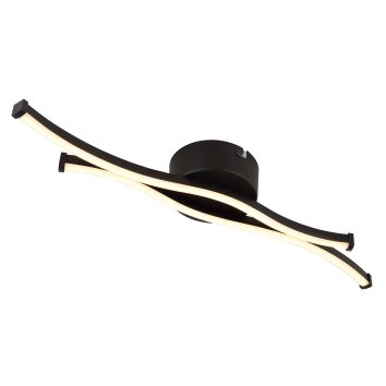 Boyd Plafonnier Luminaires Globo Lighting LED Noir, 1 lumière