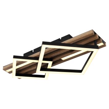 Obrien Plafonnier Luminaires Globo Lighting LED Écru, Noir, 1 lumière