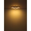 Obrien Plafonnier Luminaires Globo Lighting LED Écru, Noir, 1 lumière