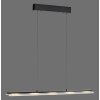 NELE Suspension Luminaires Leuchten Direkt LED Noir, 1 lumière