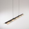 NELE Suspension Luminaires Leuchten Direkt LED Noir, 1 lumière