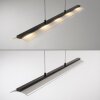 NELE Suspension Luminaires Leuchten Direkt LED Noir, 1 lumière