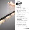 NELE Suspension Luminaires Leuchten Direkt LED Noir, 1 lumière