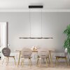 NELE Suspension Luminaires Leuchten Direkt LED Noir, 1 lumière