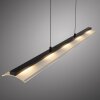NELE Suspension Luminaires Leuchten Direkt LED Noir, 1 lumière